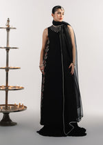 Black Peacock