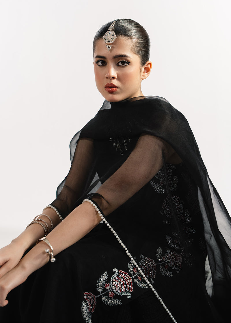 Black Peacock