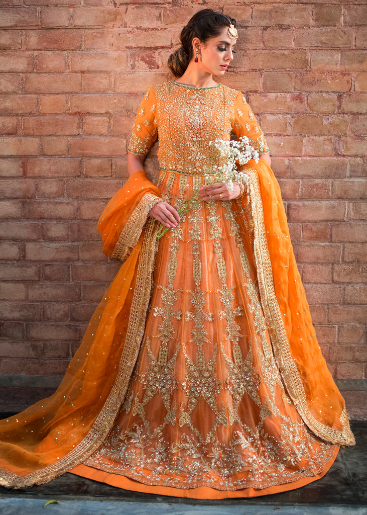 Orange Crush
