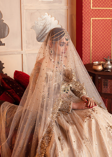 Aida by Sadaf Fawad Khan — back view | SFK Formal